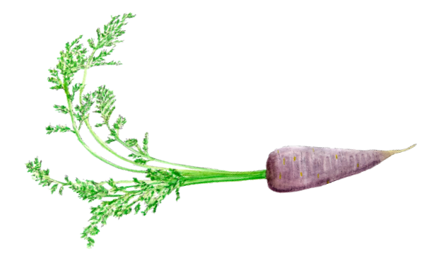 Biohof Rampini Logo
